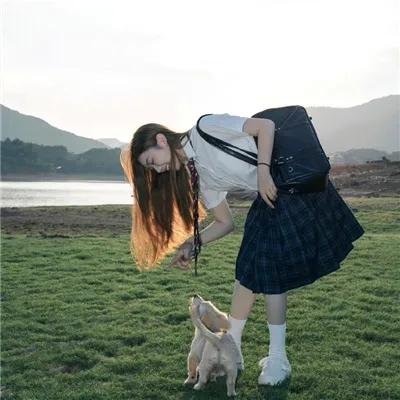 送子鸟